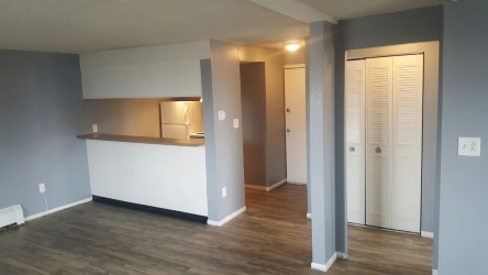 Studio, 1 bath, 600 sqft, $1,275