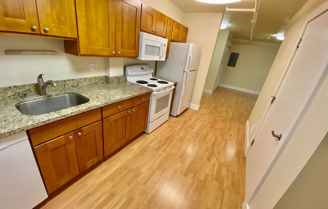 Studio, 1 bath, 393 sqft, $1,445, Unit 113