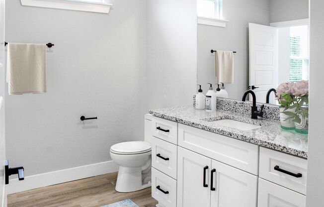 Brand New Luxury Apartments - Pine Village Apartments