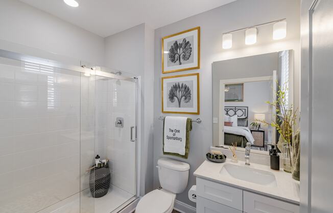 a bathroom with a shower toilet and sink and a mirror