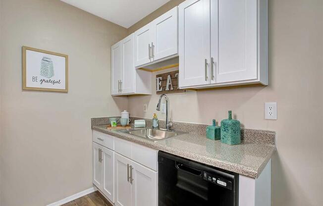 Sink With Faucet at Ridgewood Club Apartments, Virginia Beach, Virginia