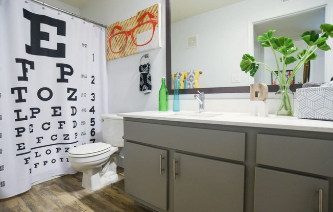 north austin tx apartments bathroom