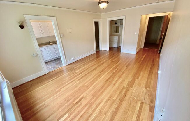 Studio, 1 bath, 437 sqft, $1,395, Unit 308