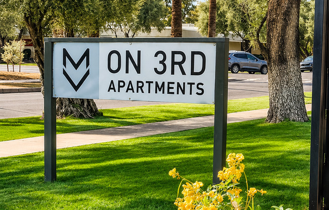Studio, 1 bath, $1,095, Unit MV C 4