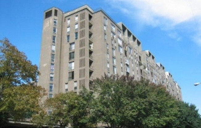 Studio, 1 bath, 500 sqft, $2,300, Unit 905