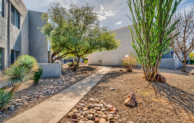 a courtyard with trees and rocks and a building