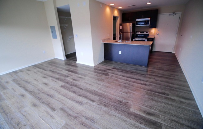 Studio, 1 bath, 404 sqft, $1,195, Unit APT 315