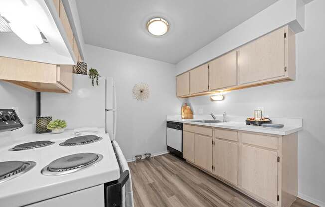Gorgeous Kitchen at Dover Hills Apartments in Kalamazoo