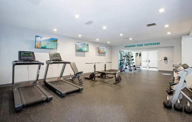 Hinton Height_Cottage Grove_MN_the gym with treadmills and weights at the apartments
