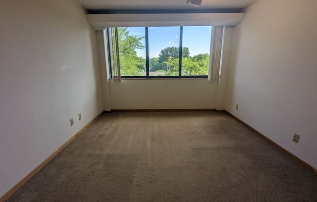 Studio, 1 bath, 310 sqft, $1,150, Unit 408