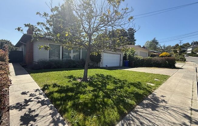 RENTED - 3 Bedroom Ranch Style Home in El Sobrante / May Valley Neighborhood