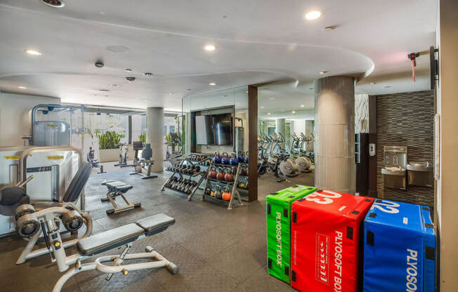 Spacious Fitness Center Filled with Natural Light at South Park by Windsor, 939 South Hill Street, CA
