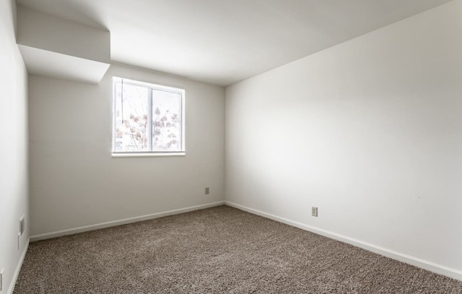 an empty room with carpet and a window