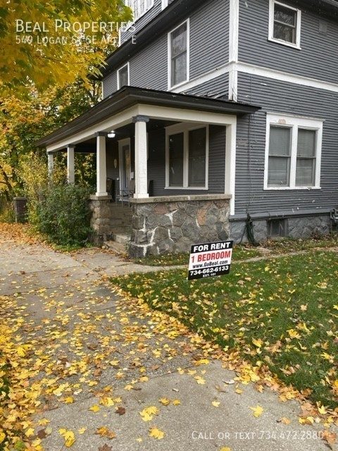 549 LOGAN ST SE