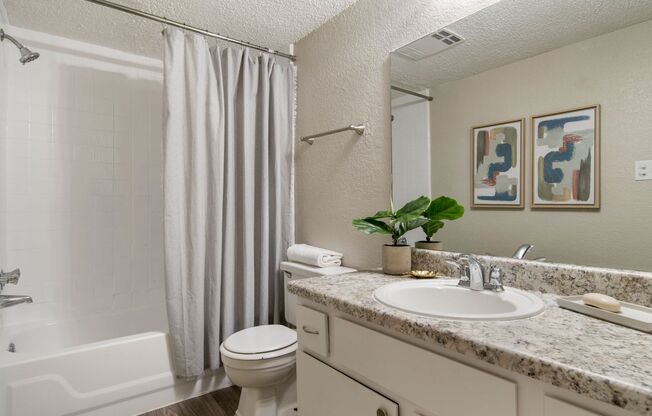 1 bed, 1 bath, 700 sqft, $849, Unit 205