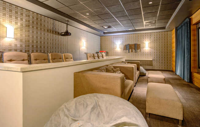 Theater Room