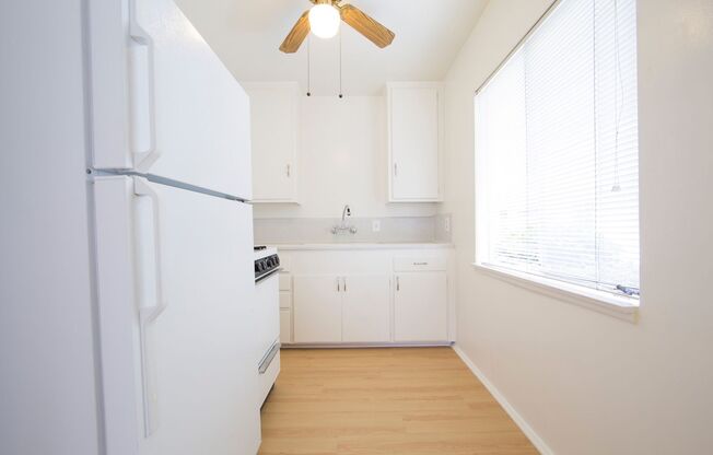 Studio, 1 bath, 375 sqft, $1,975, Unit 101
