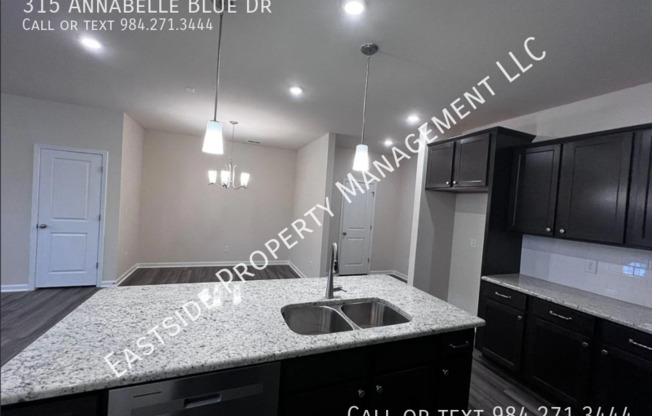 315 ANNABELLE BLUE DR