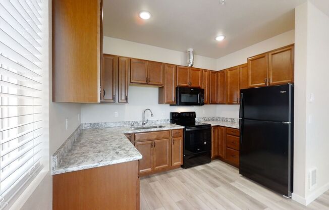 1 bed, 1 bath, 500 sqft, $1,150, Unit 303