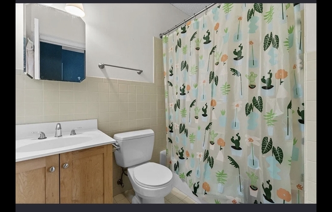 1 bed, 1 bath, 335 sqft, $2,800, Unit 63