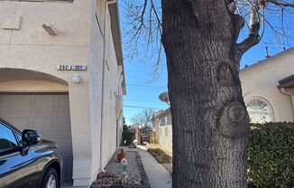 San Antonio Condos Gem!