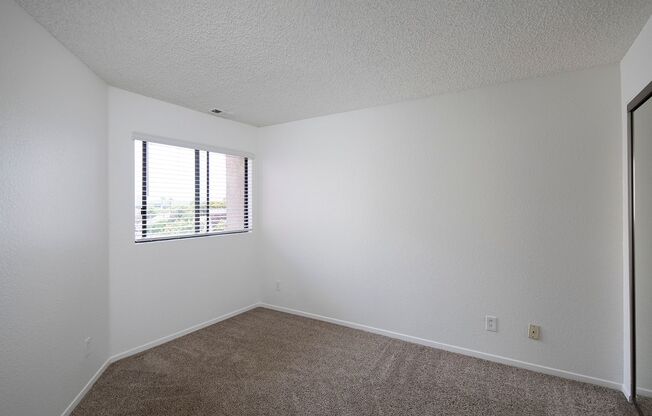 1 bed, 1 bath, $1,995, Unit 303