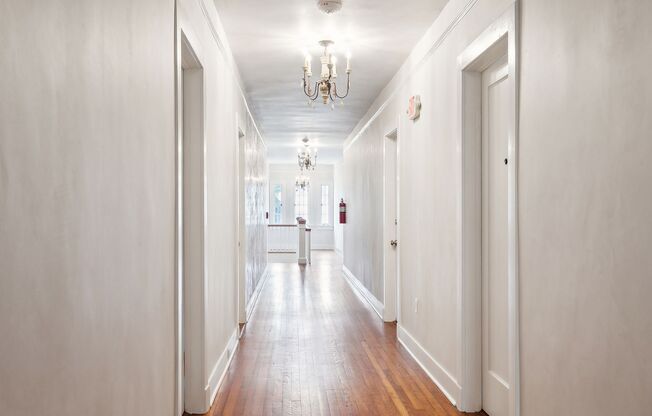 Newly Renovated 1BD/1BA Apartments in Historic Fontainebleau Neighborhood