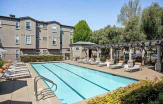Resort Style Pool and Sun Deck at Renaissance Apartment Homes in Santa Rosa