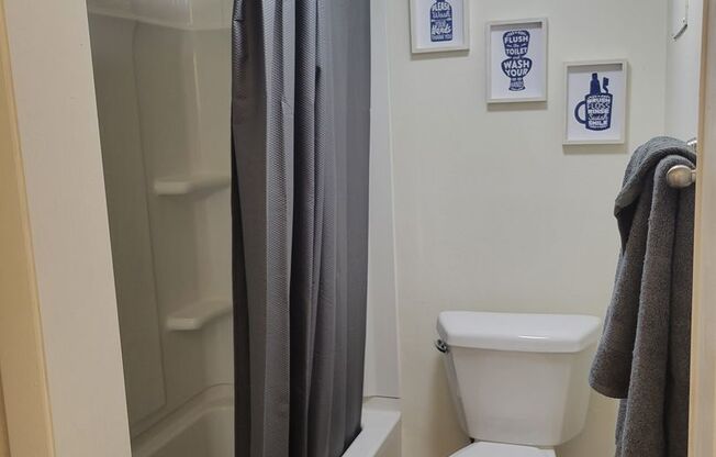 Studio, 1 bath, $980, Unit 203