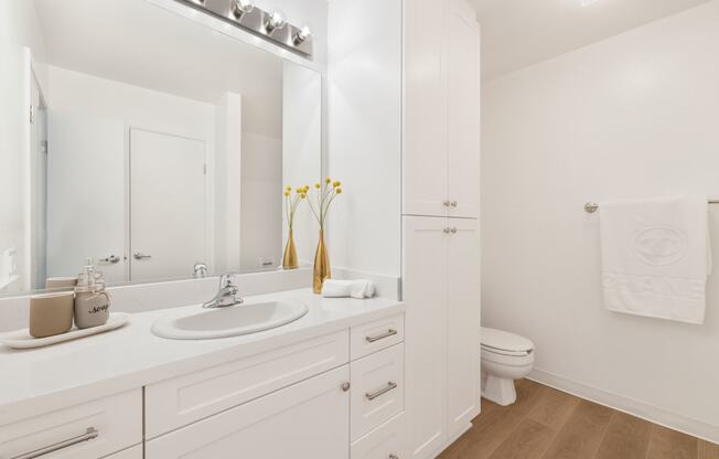 a bathroom with a sink and a mirror and a toilet