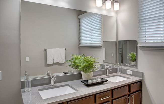 a bathroom with two sinks and a large mirror