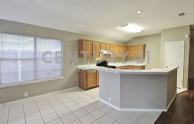 Spacious 4/2/2 Located on Cul-de-sac in Allen For Rent!