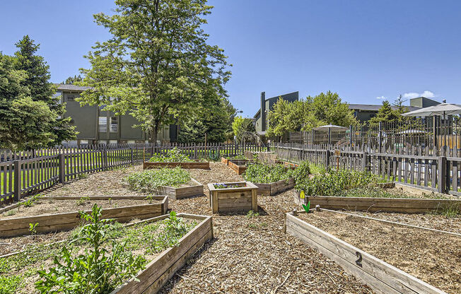 a community garden with lots of plants and a fence