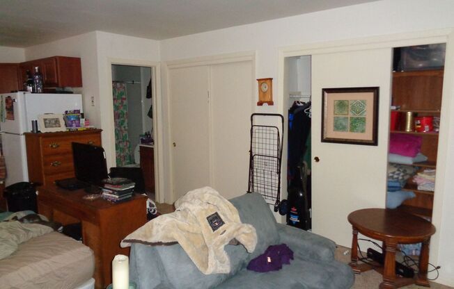 Studio, 1 bath, $1,060