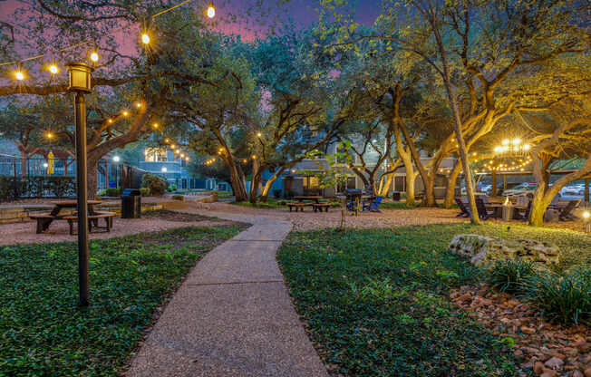 A park with a walkway, benches, and trees is lit by street lamps.