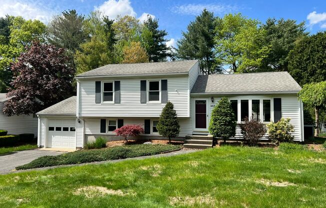 Single Family, Raised Ranch With Many Updates!