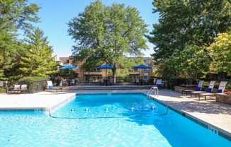 a swimming pool with trees and chairs around it