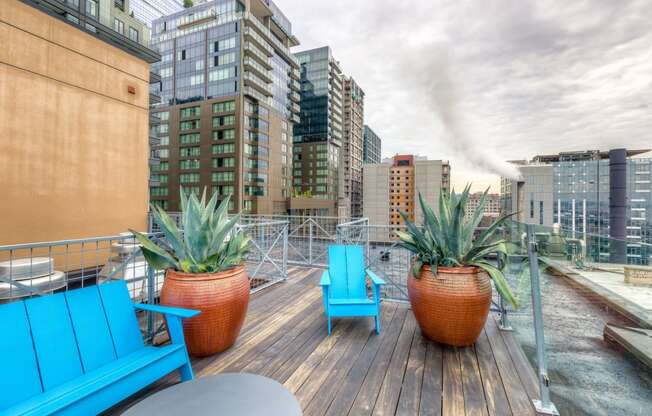 a rooftop deck with two blue chairs and two large succulents