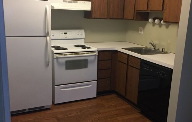 1 bed, 1 bath, 725 sqft, $1,255, Unit A102