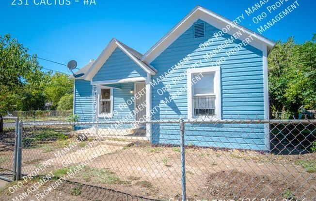 231 Cactus B
