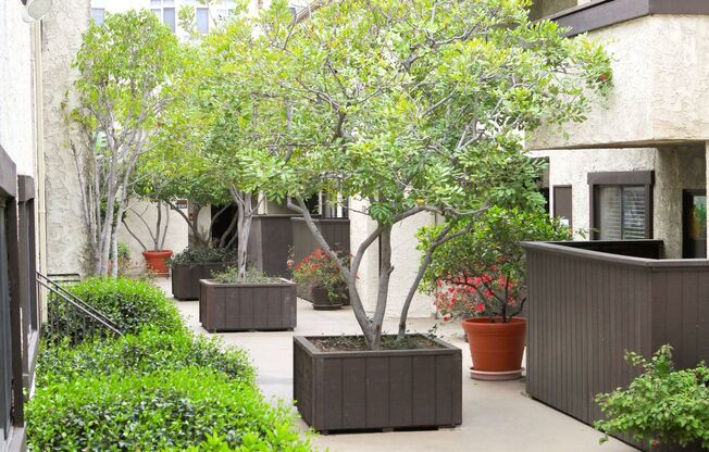 Canyon Glen Apartments