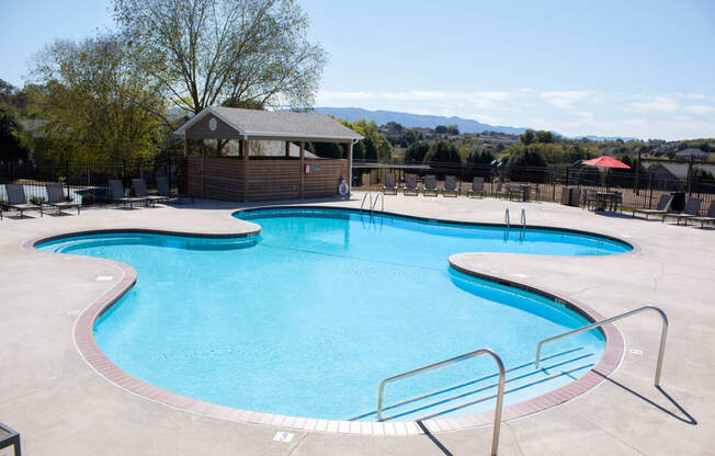 Community pool with sundeck
