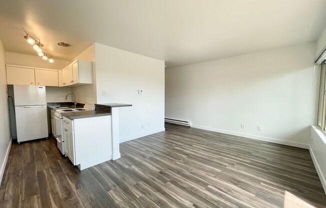 Studio, 1 bath, 370 sqft, $1,450, Unit 204