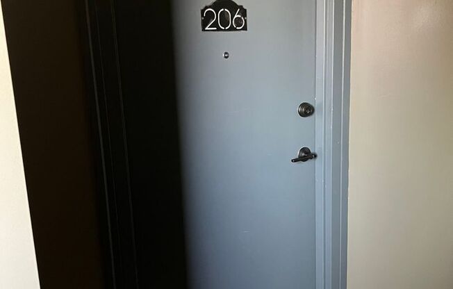 1 bed, 1 bath, 650 sqft, $1,295, Unit Unit 206 A700