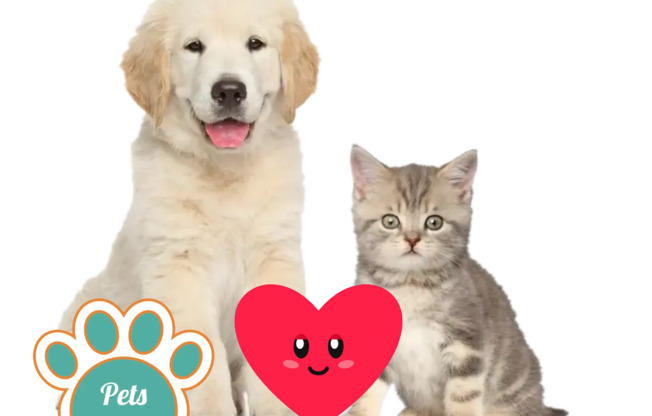 1 bed, 1 bath, 600 sqft, $1,289, Unit 3212