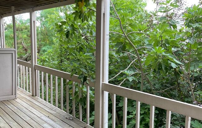 1 bed, 1 bath, 600 sqft, $1,600, Unit Lower North