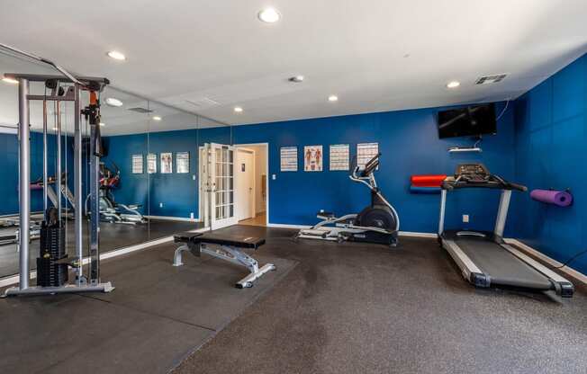 a gym with cardio equipment and weights on the floor and blue walls