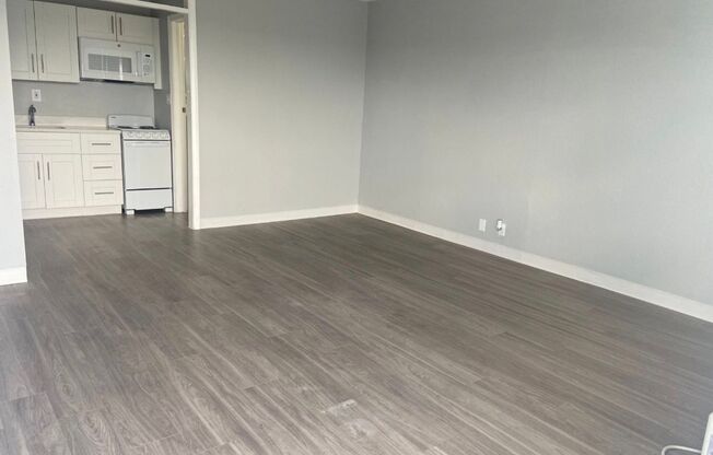 Studio, 1 bath, 500 sqft, $895, Unit 229