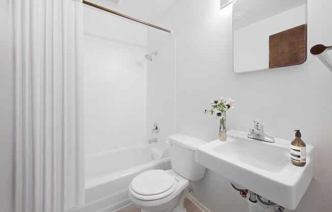 Urban Studio Apartments in a Prime University District Location