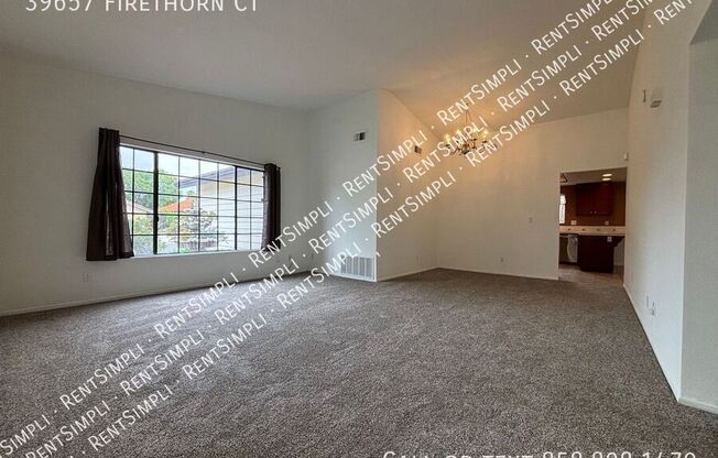 39657 FIRETHORN CT